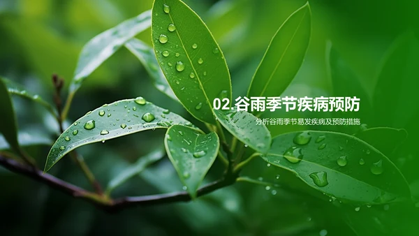 应对谷雨季节