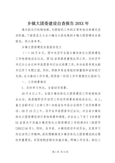 乡镇大团委建设自查报告某年.docx