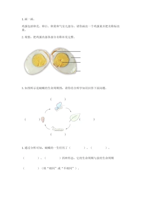 教科版科学三年级下册期末测试卷【考点梳理】.docx