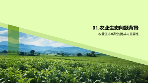 农业生态守护策略