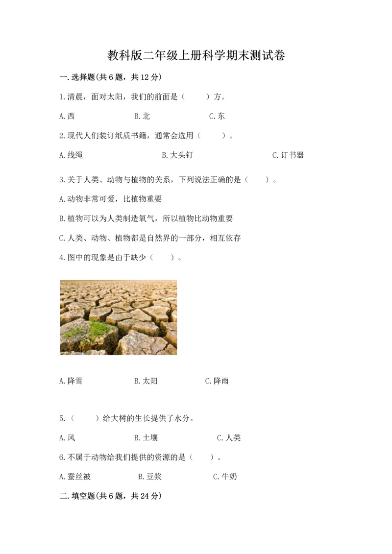 教科版二年级上册科学期末测试卷精品（突破训练）.docx