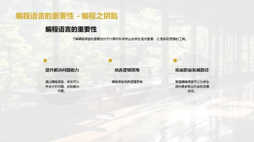 编程语言之魅力