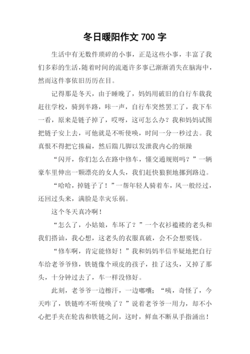 冬日暖阳作文700字-8.docx