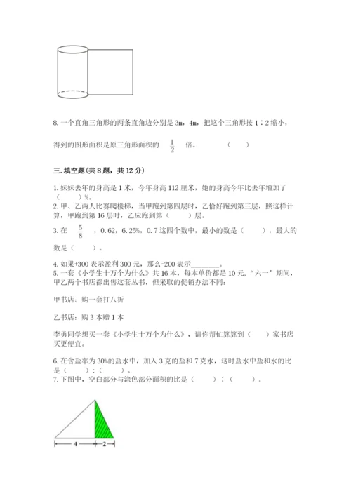 六年级下册数学期末测试卷（考点精练）.docx