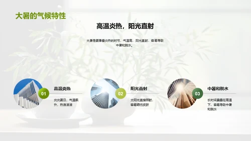 大暑季节的健康指南