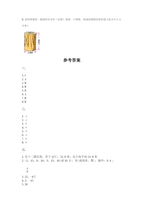 人教版六年级数学小升初试卷【夺冠】.docx