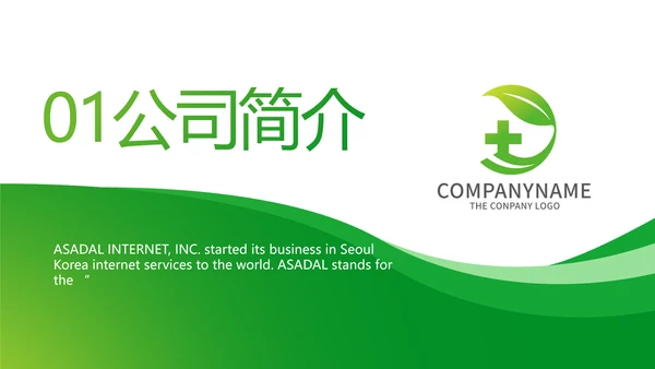 绿色简约医疗医药公司简介总结PPT