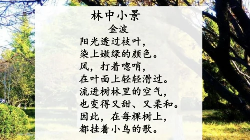 3《现代诗二首》课件