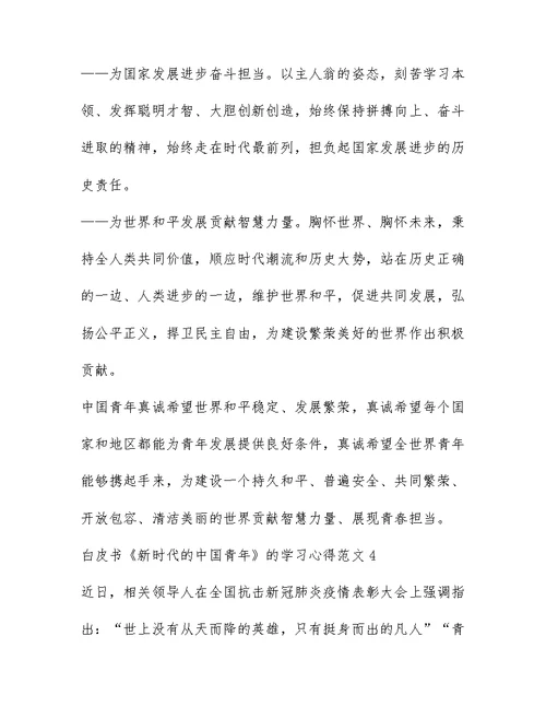 白皮书新时代的中国青年的学习心得范文（精选五篇）