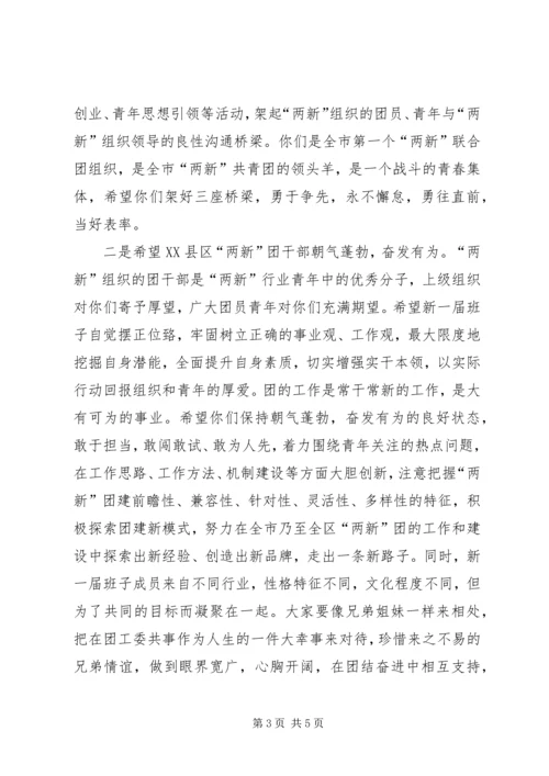 团市委副书记王金京在XX县区“两新”组织团工委成立大会上的讲话.docx