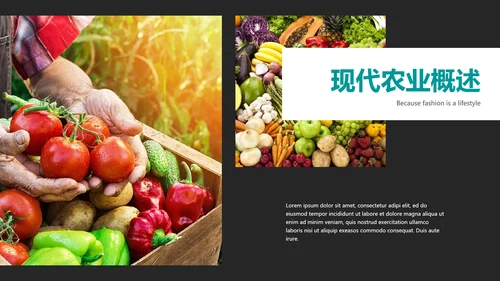绿色农产品瓜果蔬菜农业主题通用PPT模板