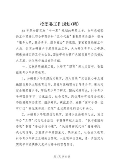 校团委工作规划(精) (2).docx