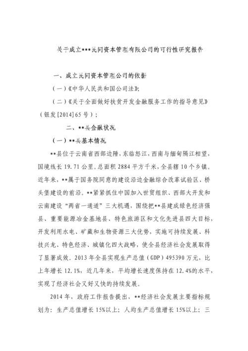 民间资本管理有限公司可行性研究报告.docx