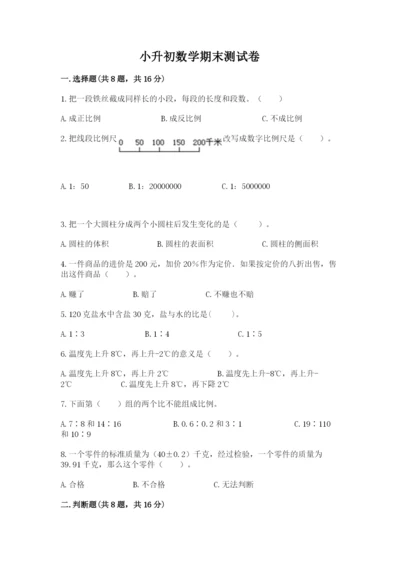 小升初数学期末测试卷及完整答案【名师系列】.docx