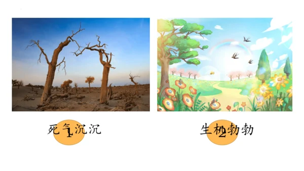 22《小毛虫》课件