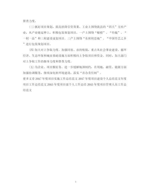 精编之度项目建设工作总结范文.docx