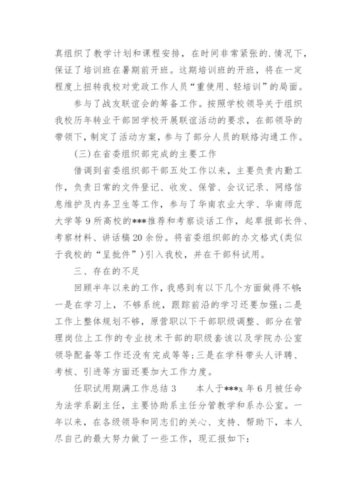 任职试用期满工作总结.docx