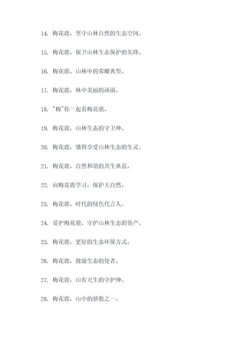 梅花鹿宣传口号
