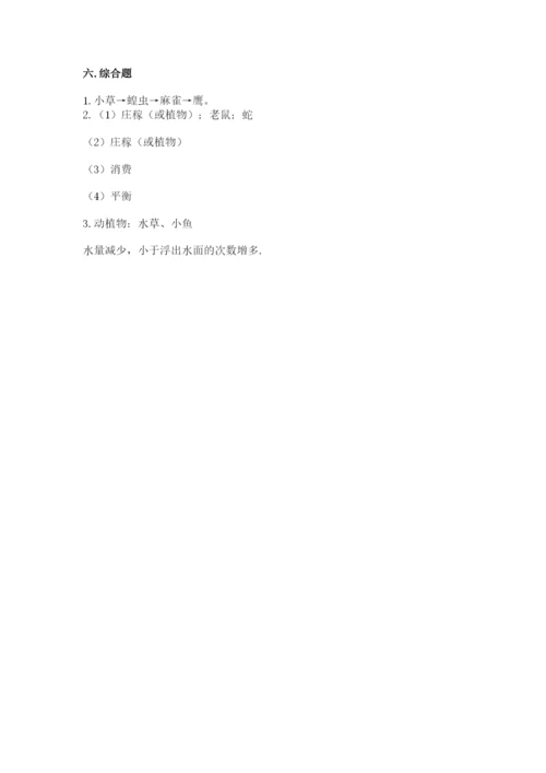 教科版科学五年级下册第一单元《生物与环境》测试卷精品加答案.docx