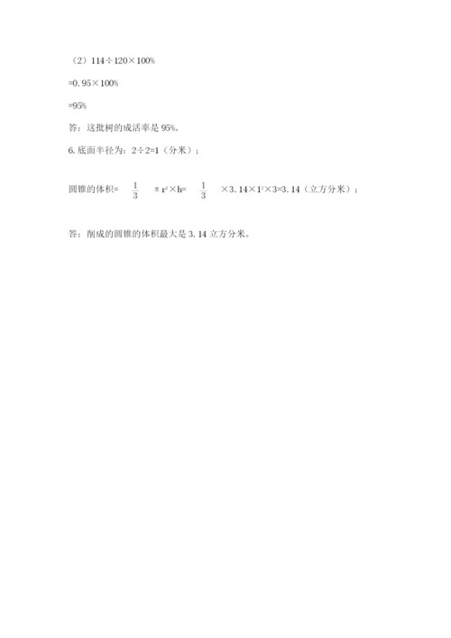 苏教版六年级数学小升初试卷含完整答案【典优】.docx