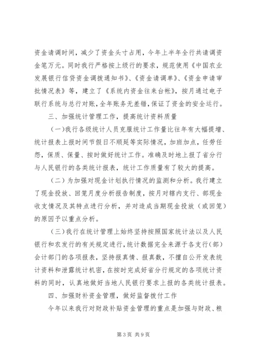 某银行上半年资金计划管理工作总结 (2).docx