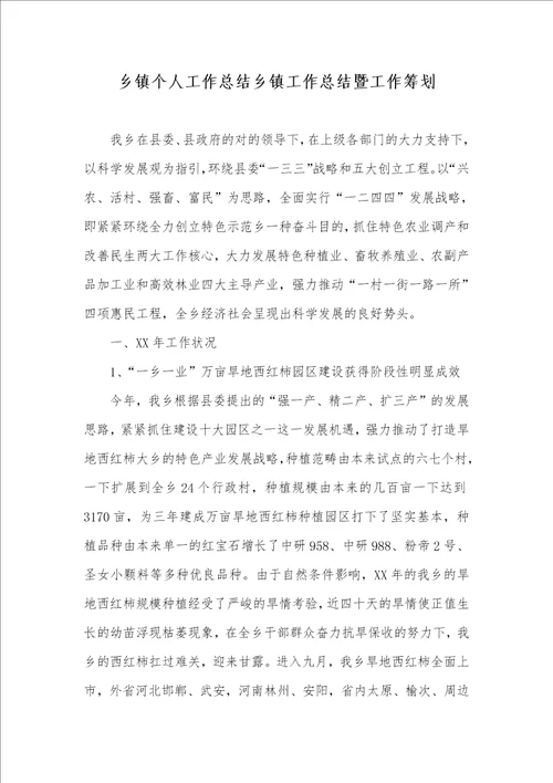 乡镇个人工作总结乡镇工作总结暨工作计划