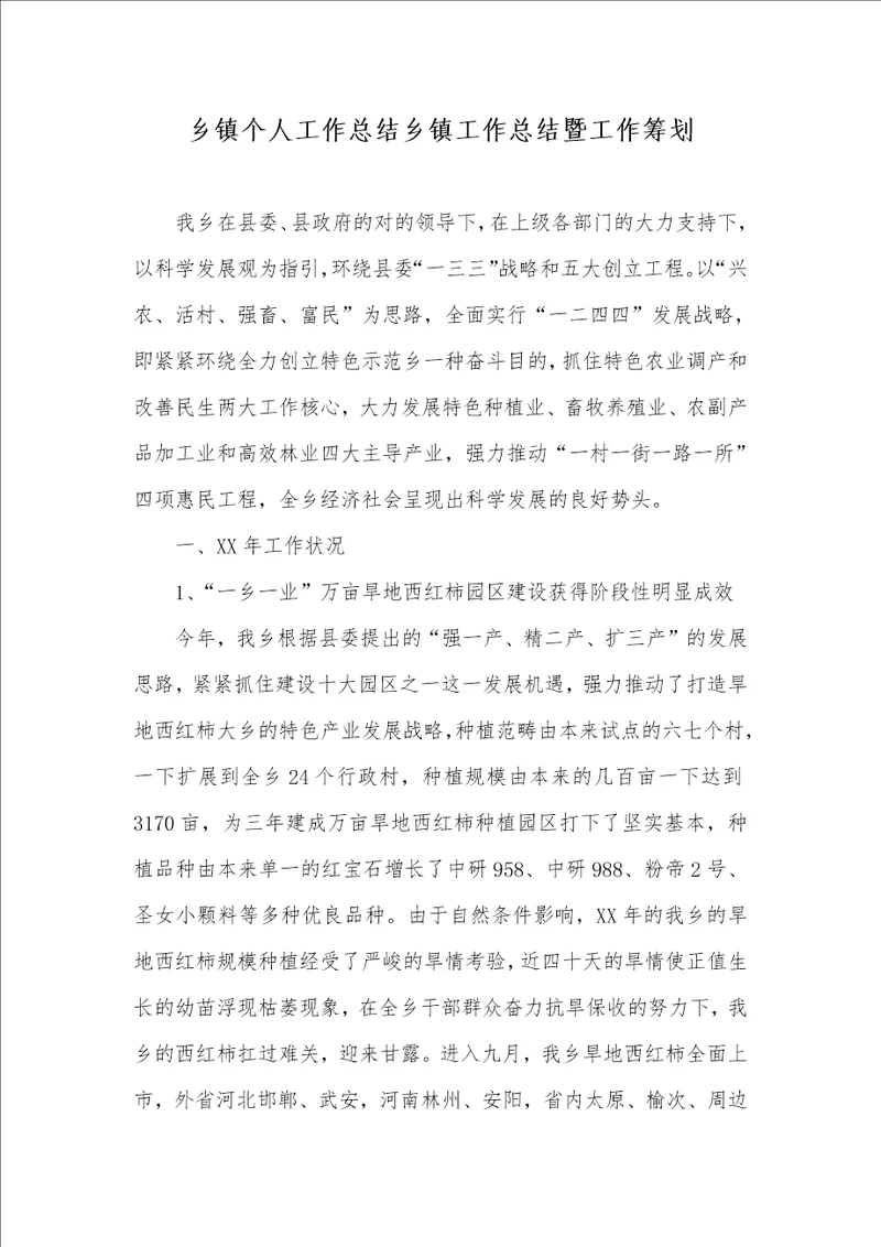 乡镇个人工作总结乡镇工作总结暨工作计划