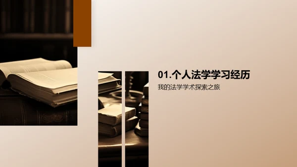 法学教育：我为改革献策