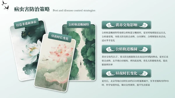 墨绿色中国风夏至节气PPT模板