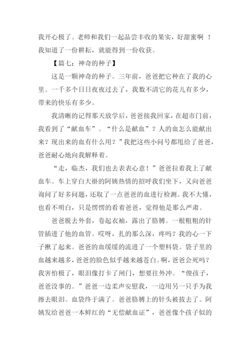 神奇的种子作文.docx