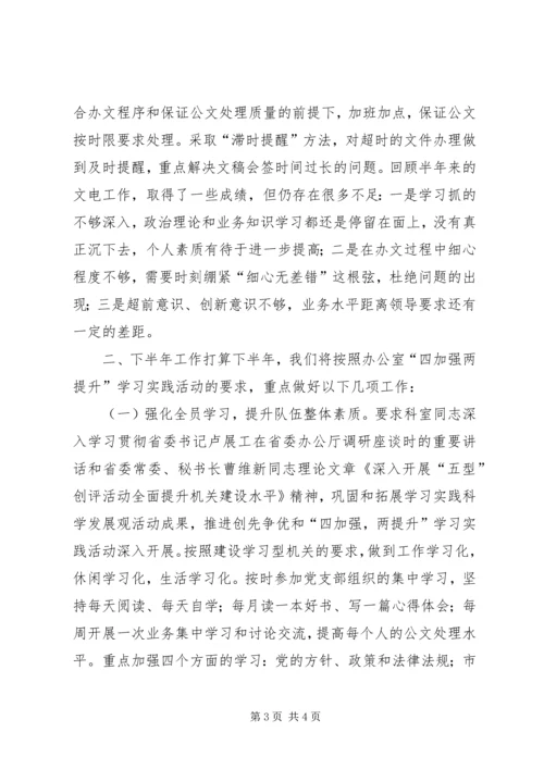 文电科上半年工作总结和下半年工作计划 (3).docx