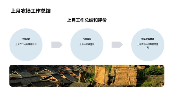 农业效益分析及展望