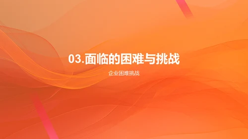 企业发展历程回顾