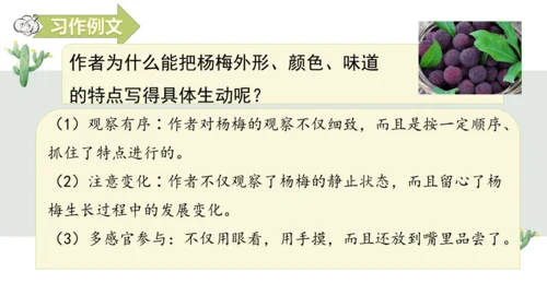 第五单元习作例文我爱故乡的杨梅