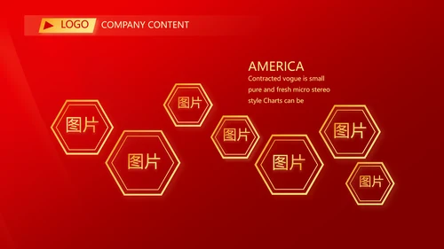 爱国红色喜庆背景欢迎领导莅临指导动态PPT