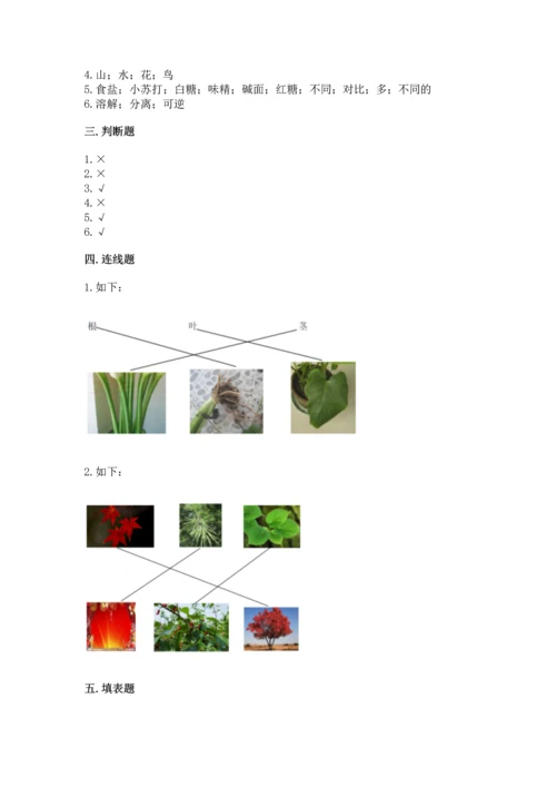 教科版科学一年级上册第一单元《植物》测试卷及答案（考点梳理）.docx