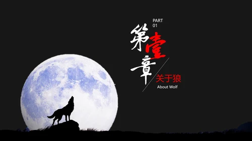 狼性文化教学企业团队培训PPT课件