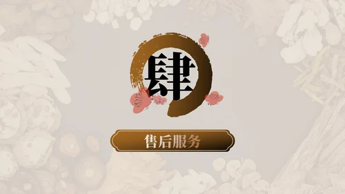 棕色中医药产品介绍PPT模板