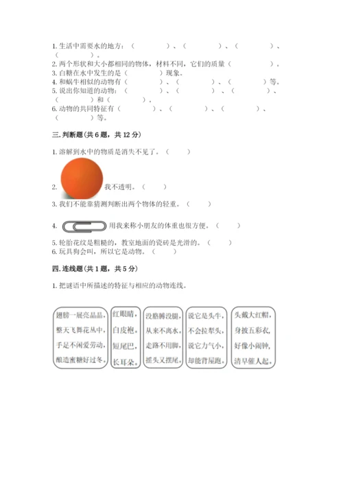 教科版一年级下册科学期末测试卷（夺分金卷）.docx