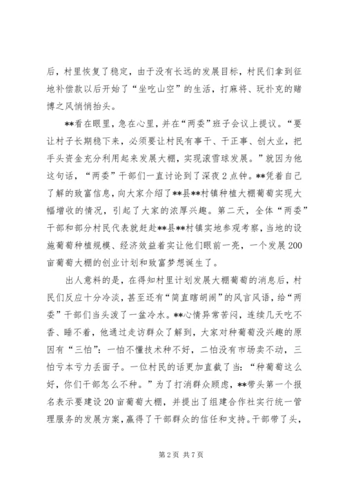 村党支部书记个人事迹材料 (4).docx