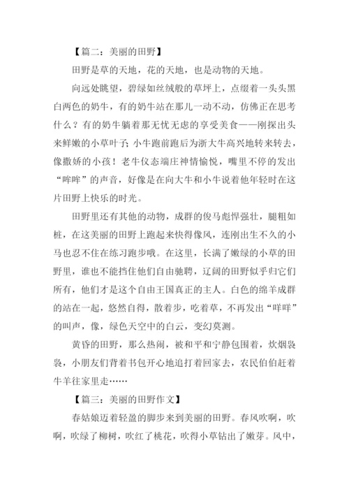 美丽的田野作文450字.docx