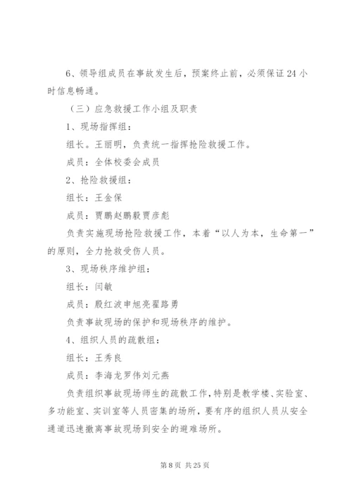 大型集会应急预案.docx