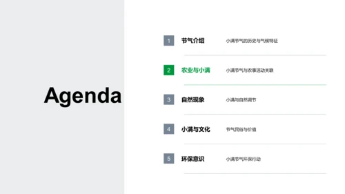 小满节气自然解读PPT模板