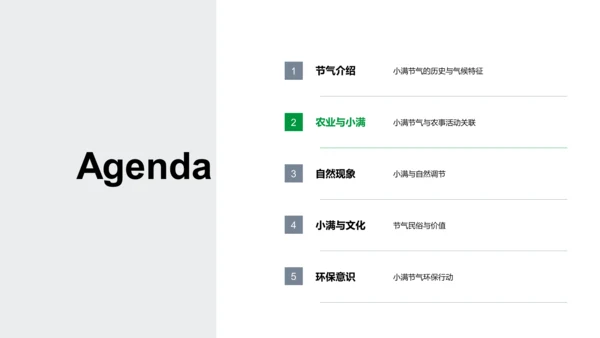小满节气自然解读PPT模板
