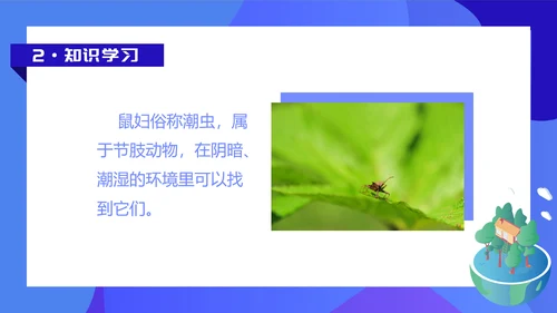 人教版七年级生物教学课件PPT模板