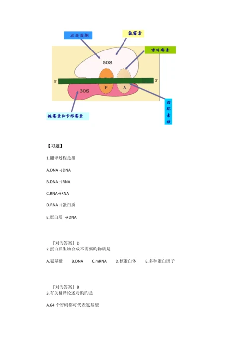 2023年执业医师最新最全考点解析系列生物化学部分第十节蛋白质生物合成.docx