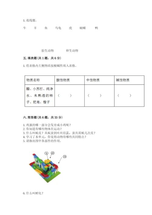 教科版小学科学三年级下册 期末测试卷（综合卷）.docx