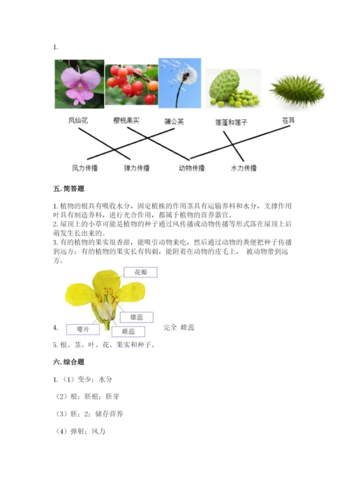 科学四年级下册第一单元《植物的生长变化》测试卷精品【易错题】.docx