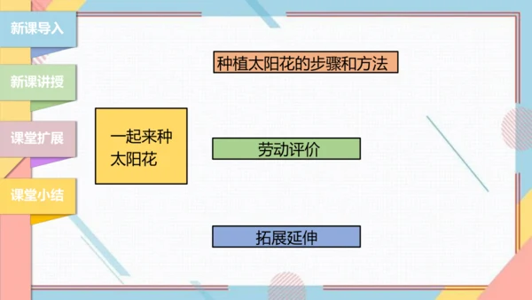 【北师大版】二年级《劳动实践指导手册》第11课《一起来种太阳花》课件