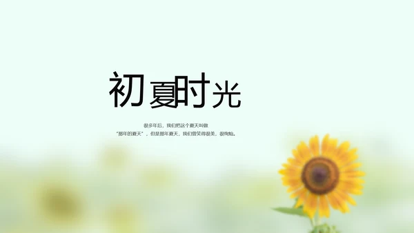致青春毕业季大学毕业纪念册电子相册动态PPT